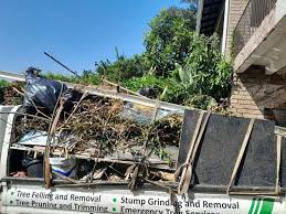 Best Carpet Removal and Disposal  in Semmes, AL